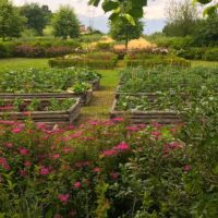 Giardini terapeutici e garden therapy – La natura che ci fa bene
